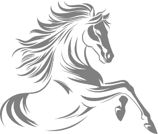 Stallion Steel
