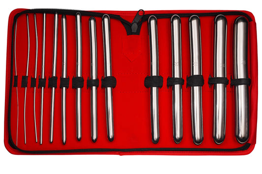 Stainless Steel Medical Dilator Set 14 Sizes | Smooth Polished Finish, Reusable Examination Instrument Kit with Case