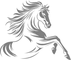 Stallion Steel 